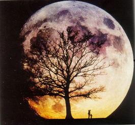 红色的月亮 漫画,红色月亮下的奇幻冒险之旅