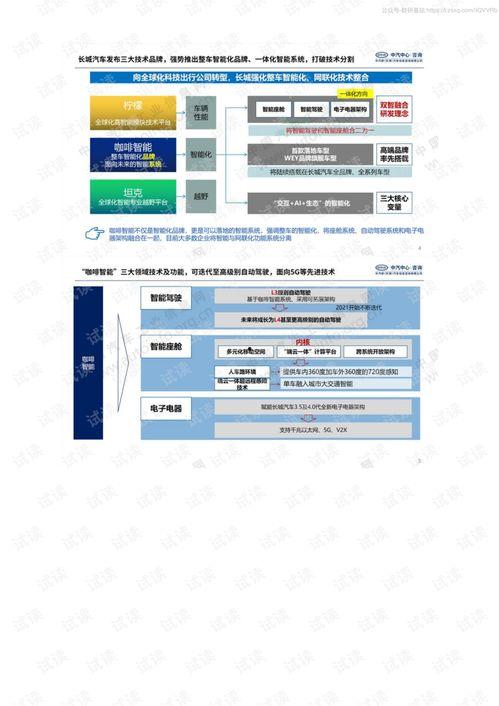 国产16页,揭秘我国创新科技发展的新篇章